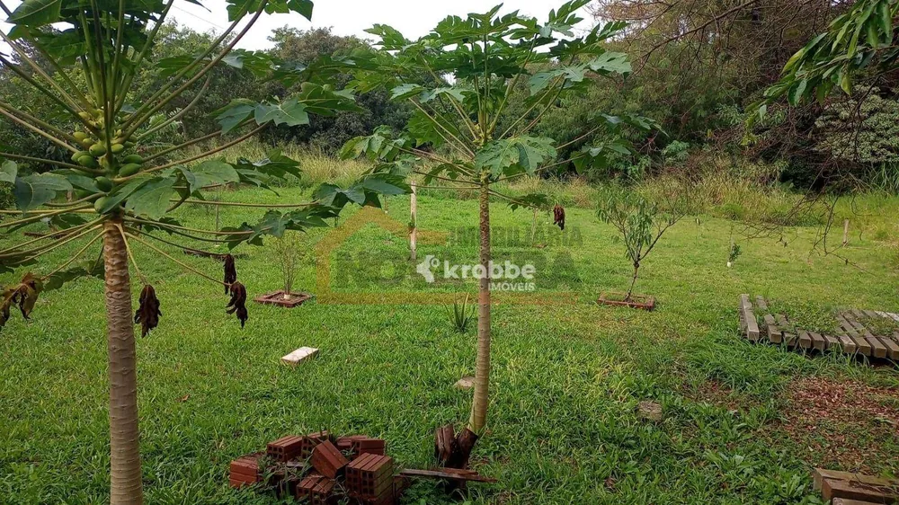 Terreno, 5470 m² - Foto 4