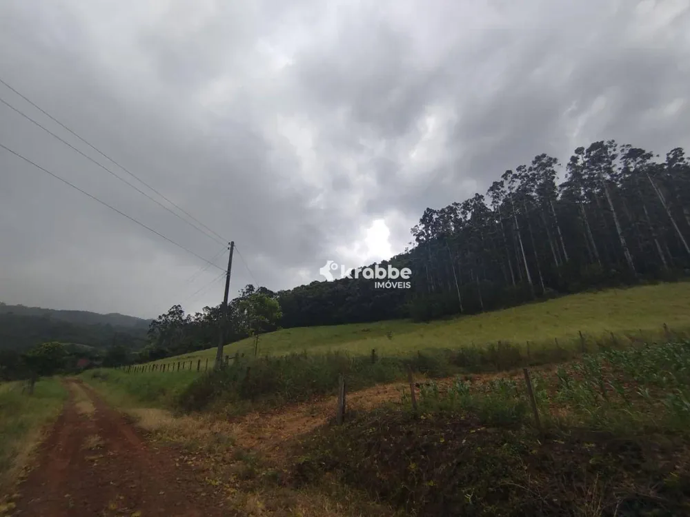 Terreno, 17 hectares - Foto 10