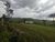 Terreno, 17 hectares - Foto 3