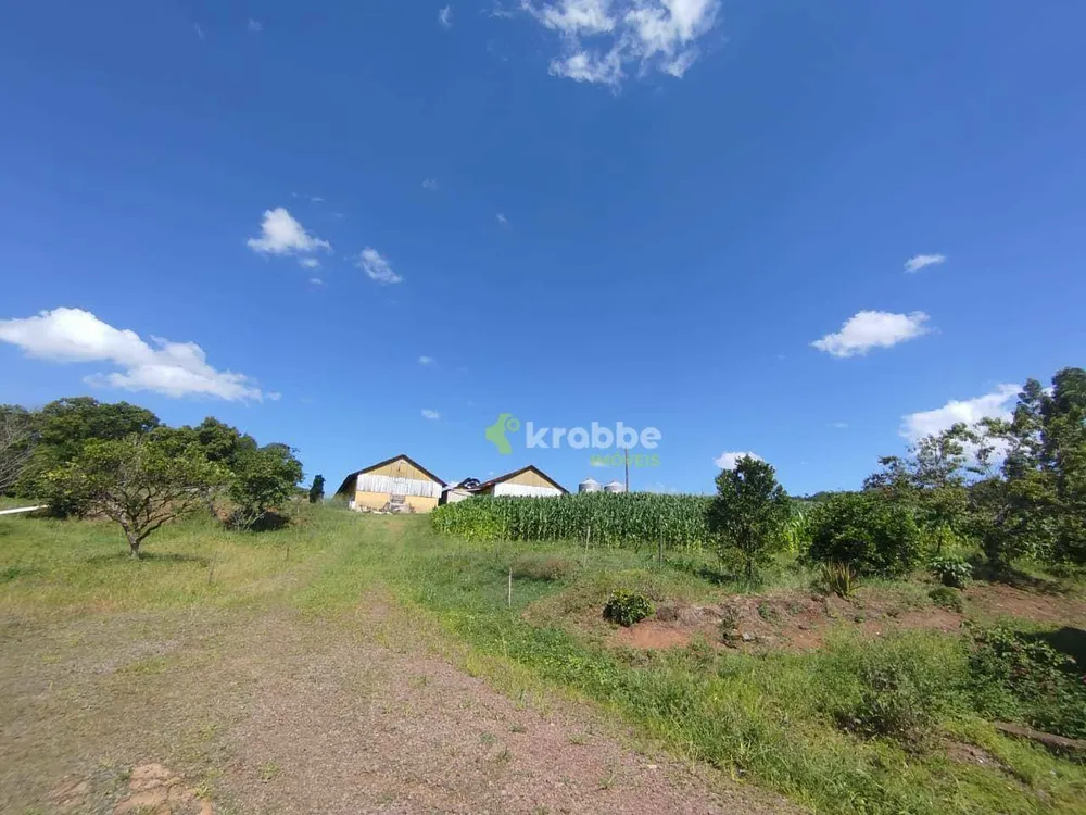 Terreno, 13 hectares - Foto 4