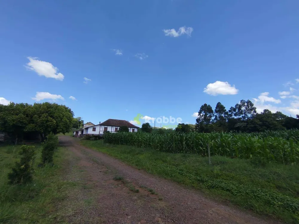 Terreno, 13 hectares - Foto 3