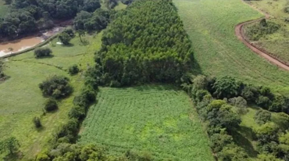 Terreno, 16 hectares - Foto 2
