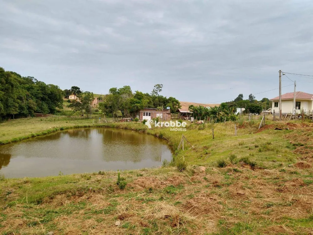 Chácara, 3 quartos, 10000 m² - Foto 8