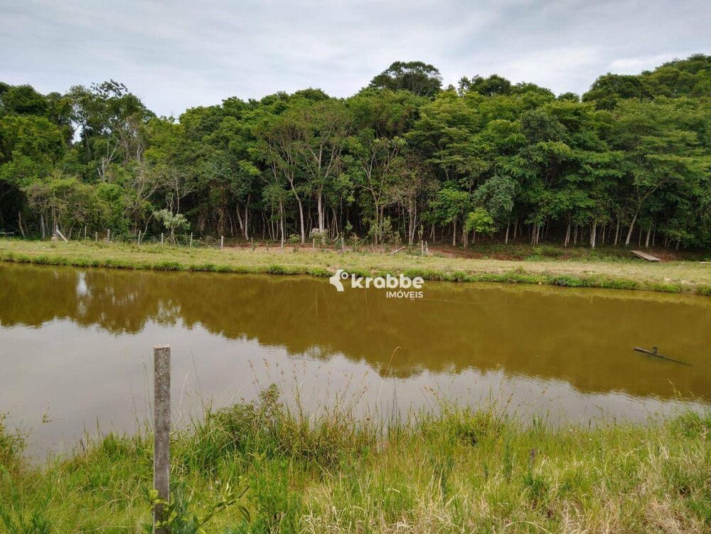 Chácara, 3 quartos, 10000 m² - Foto 1