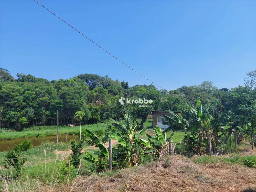 Chácara, 3 quartos, 10000 m² - Foto 12