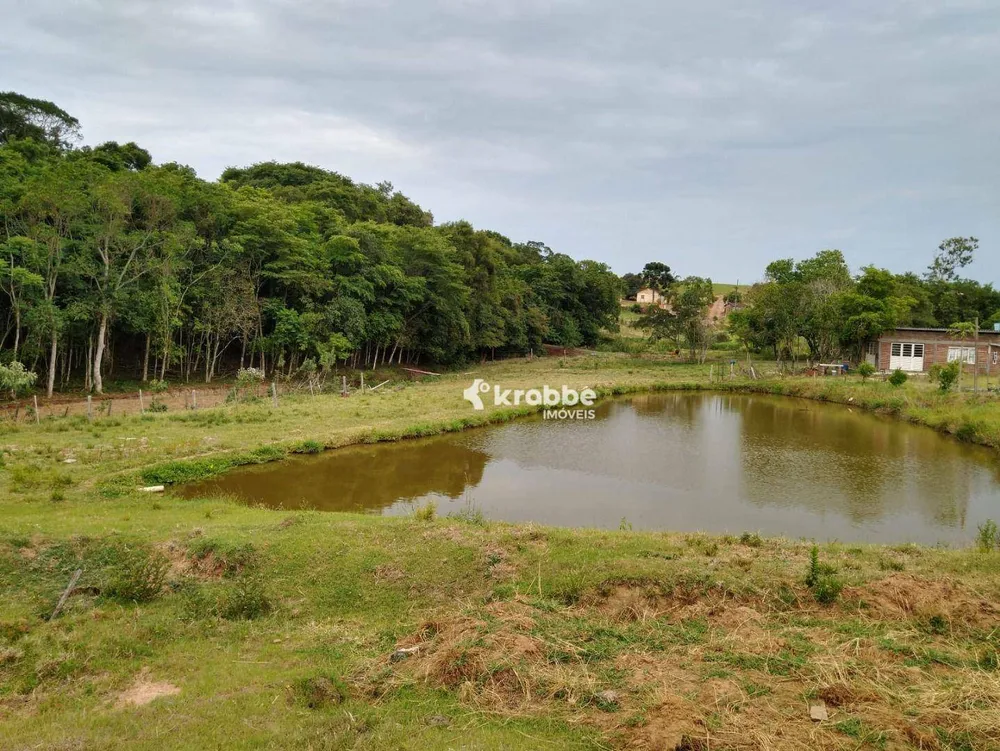 Chácara, 3 quartos, 10000 m² - Foto 1