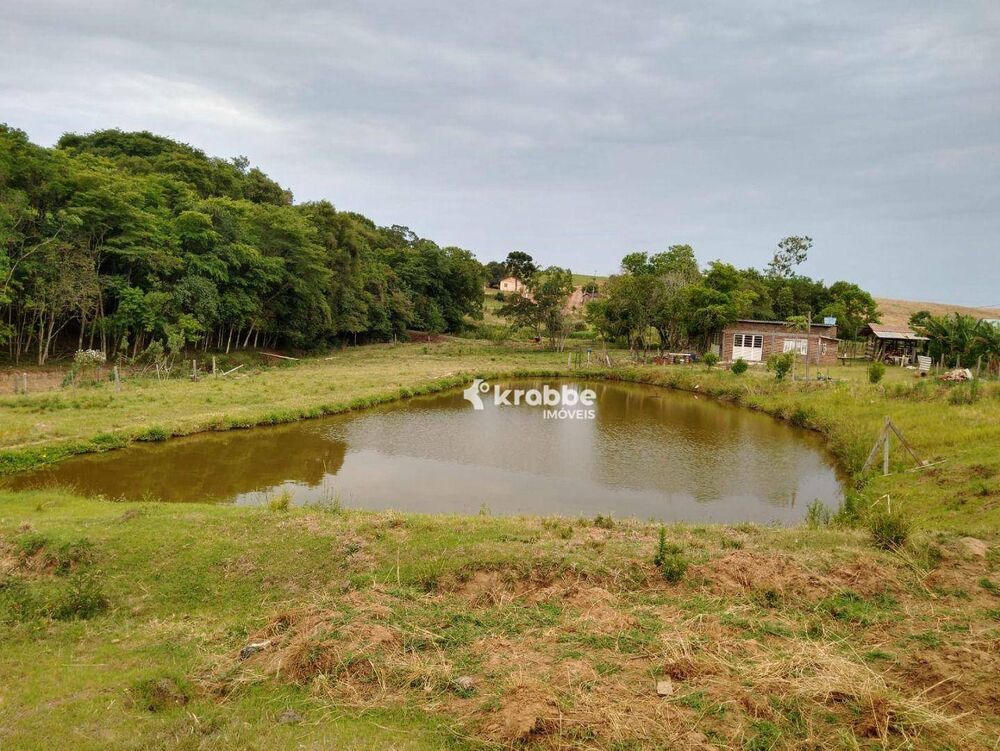 Chácara, 3 quartos, 10000 m² - Foto 3