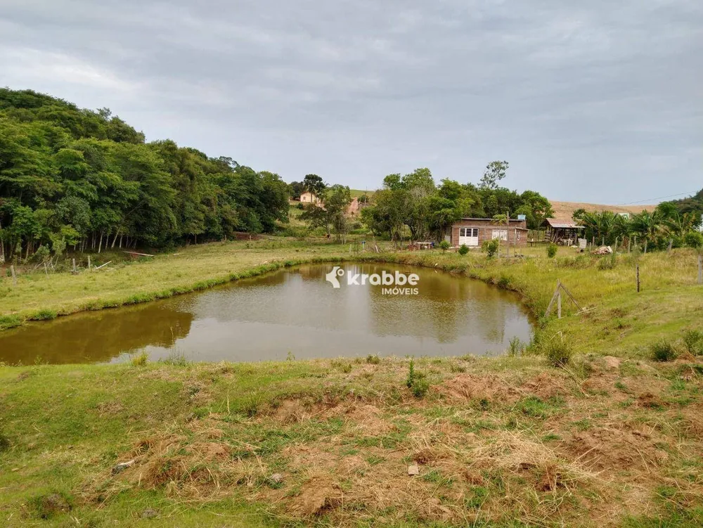 Chácara, 3 quartos, 10000 m² - Foto 11