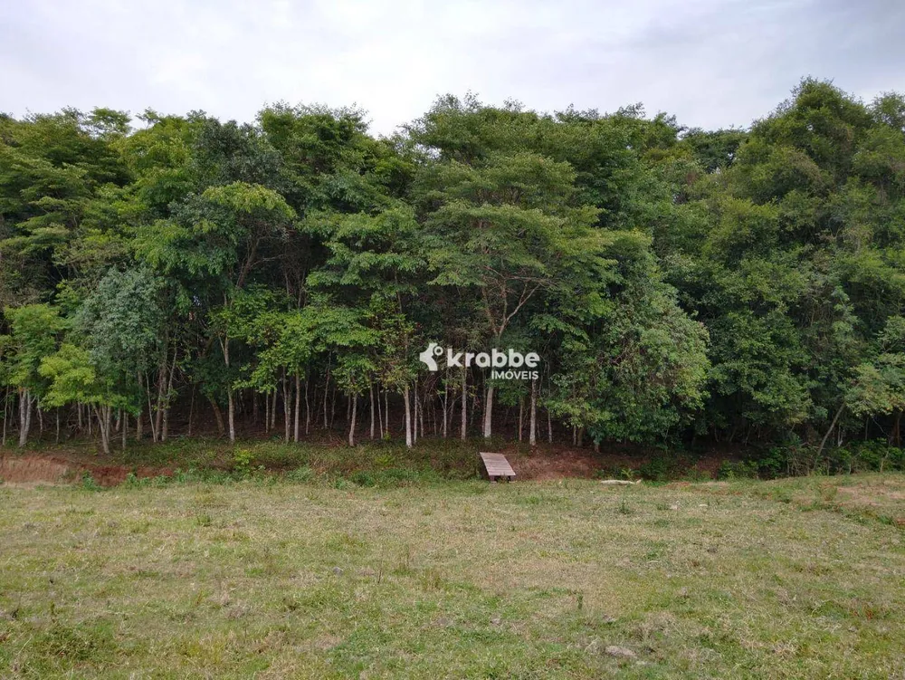 Chácara, 3 quartos, 10000 m² - Foto 2