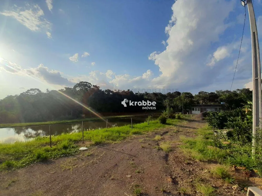 Chácara, 3 quartos, 10000 m² - Foto 6