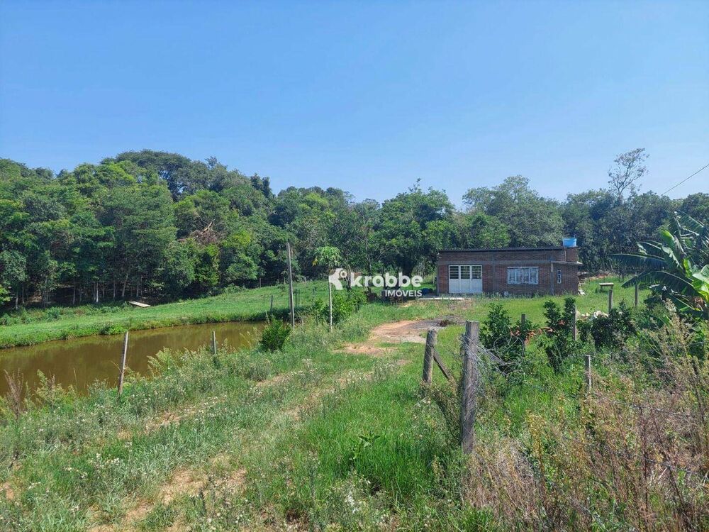 Chácara, 3 quartos, 10000 m² - Foto 4