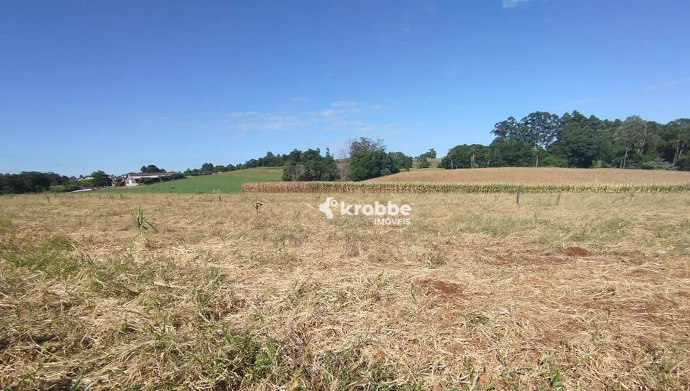 Terreno, 1000 m² - Foto 1
