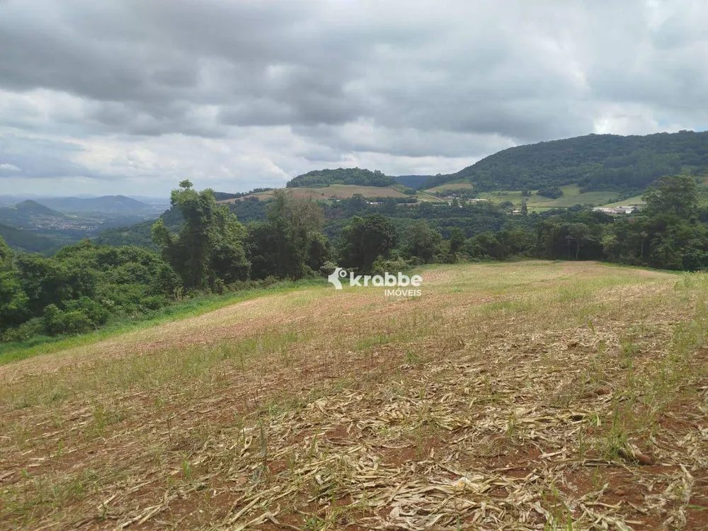 Terreno, 5 hectares - Foto 3
