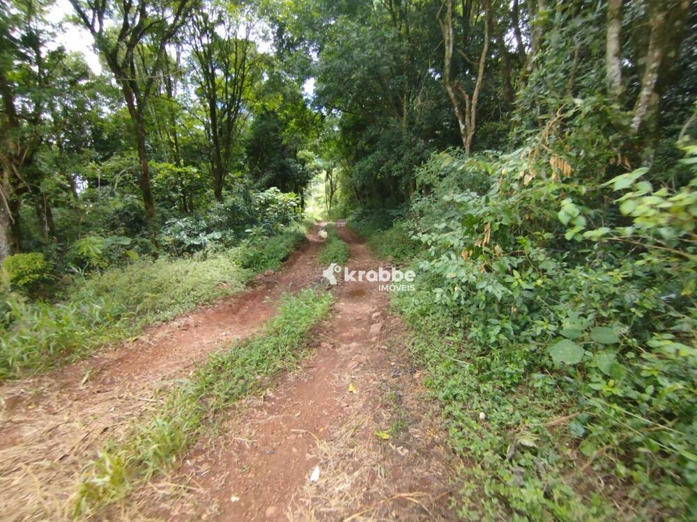 Terreno, 5 hectares - Foto 3