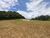 Terreno, 5 hectares - Foto 2