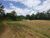Terreno, 5 hectares - Foto 1