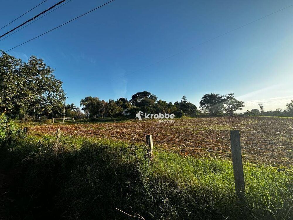 Chácara, 3 quartos, 2 hectares - Foto 3