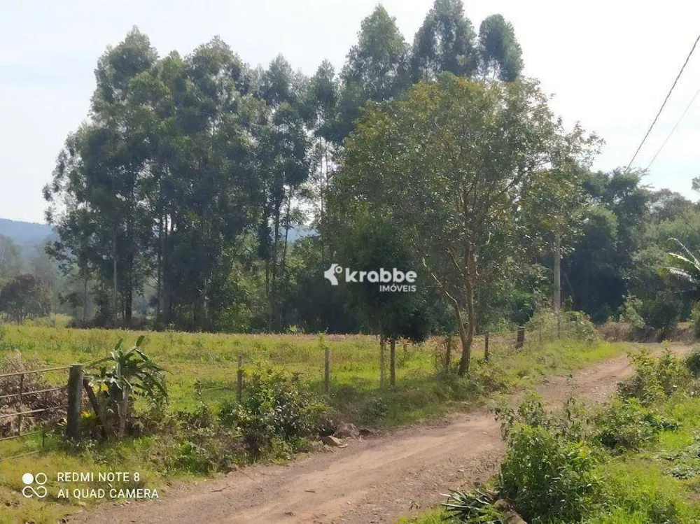 Chácara, 3 quartos, 2 hectares - Foto 7