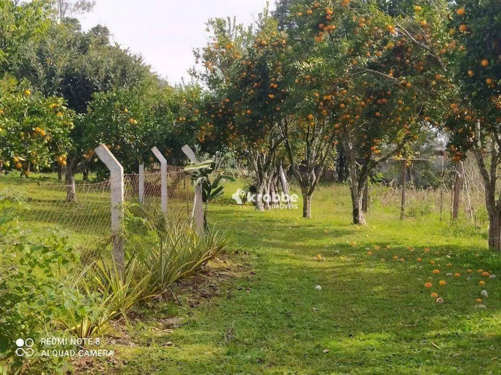 Chácara, 3 quartos, 2 hectares - Foto 10