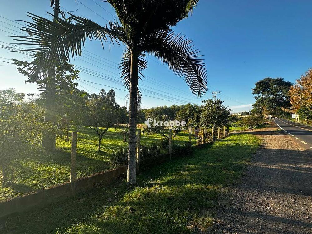 Chácara, 3 quartos, 2 hectares - Foto 4