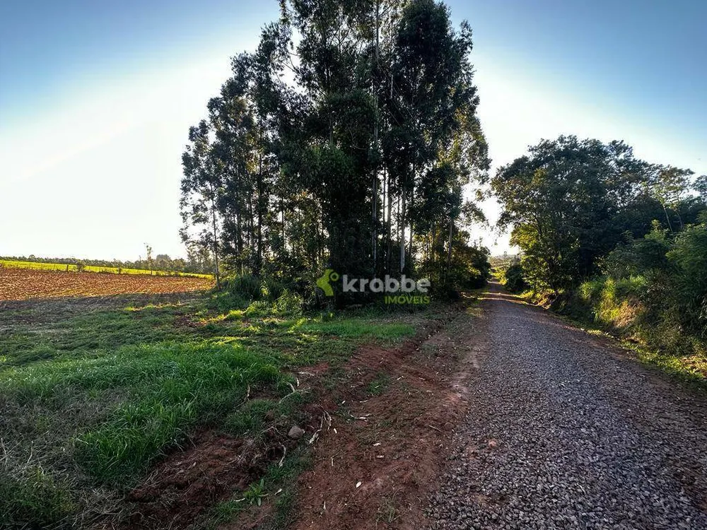 Terreno, 2 hectares - Foto 10