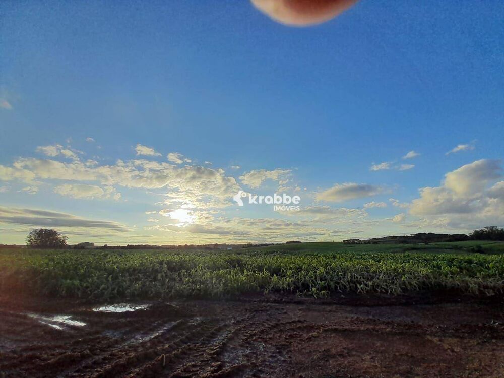 Terreno, 10 hectares - Foto 4