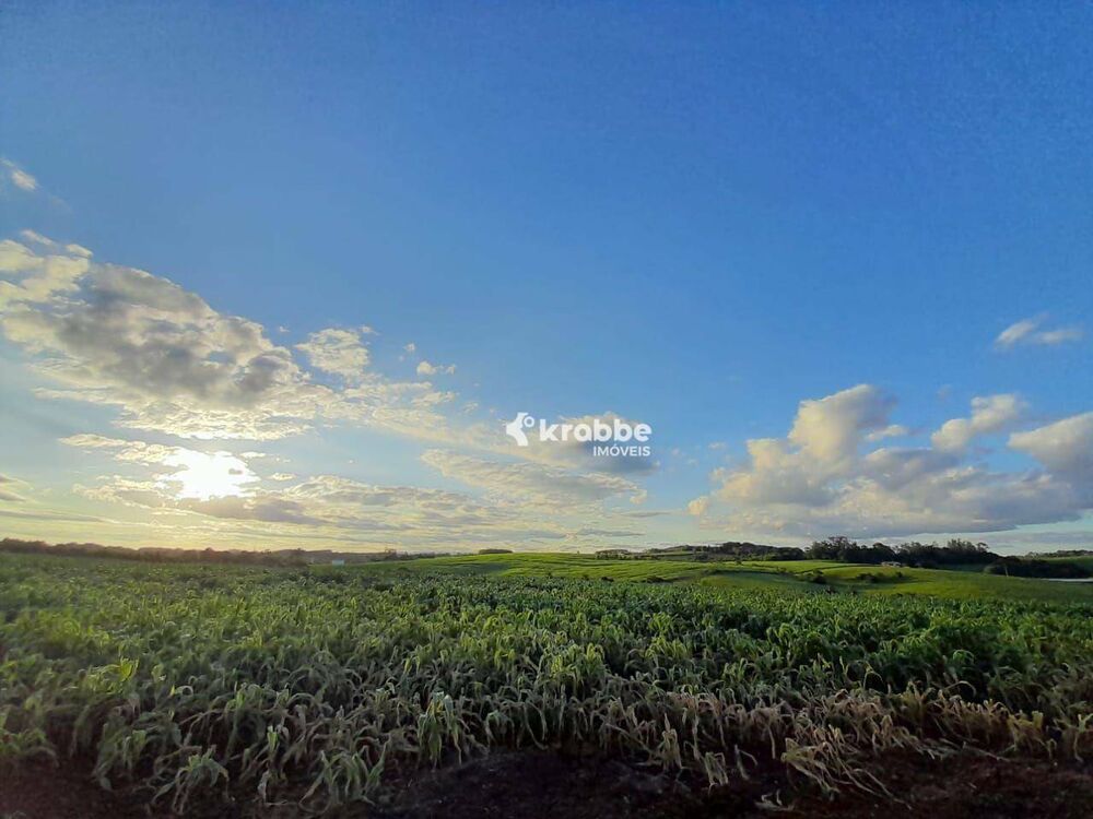 Terreno, 10 hectares - Foto 2