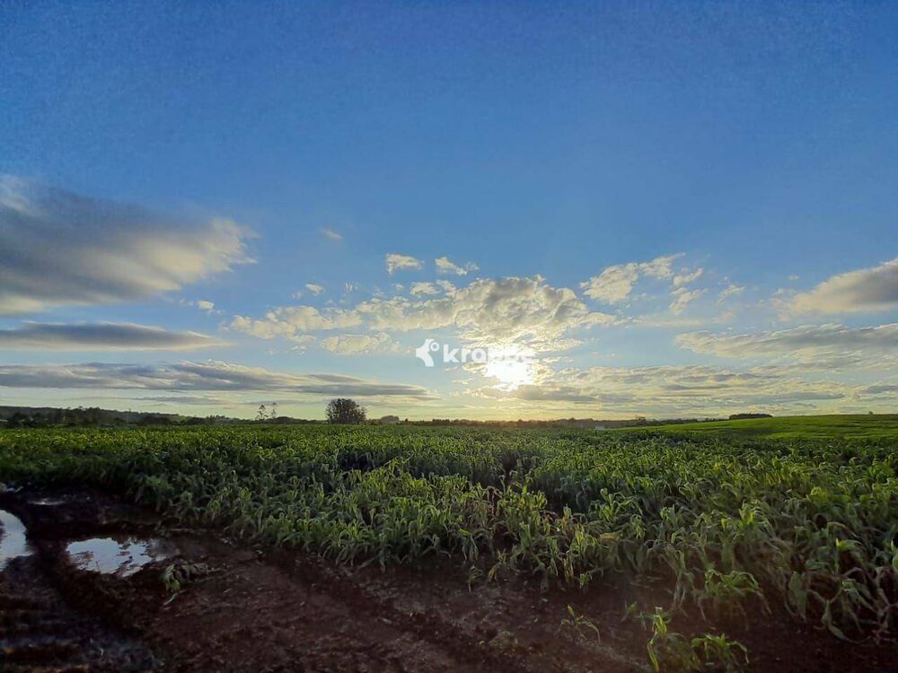 Terreno, 10 hectares - Foto 1