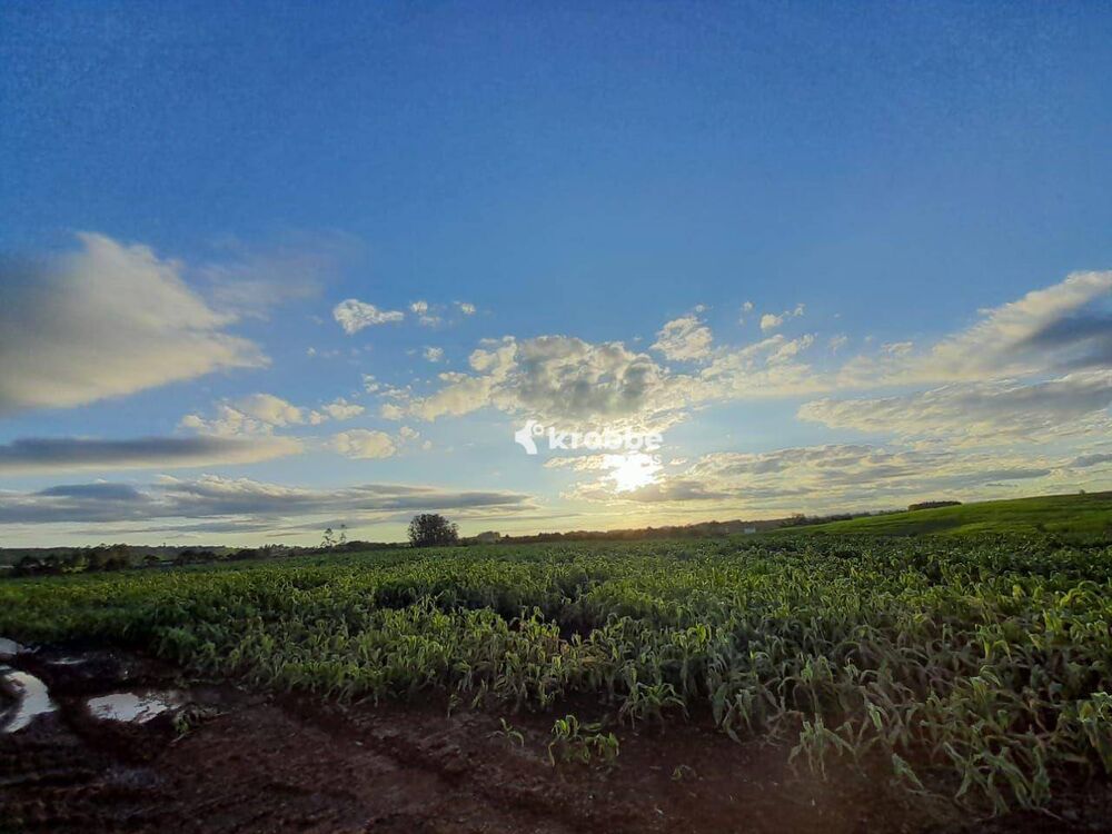 Terreno, 10 hectares - Foto 3