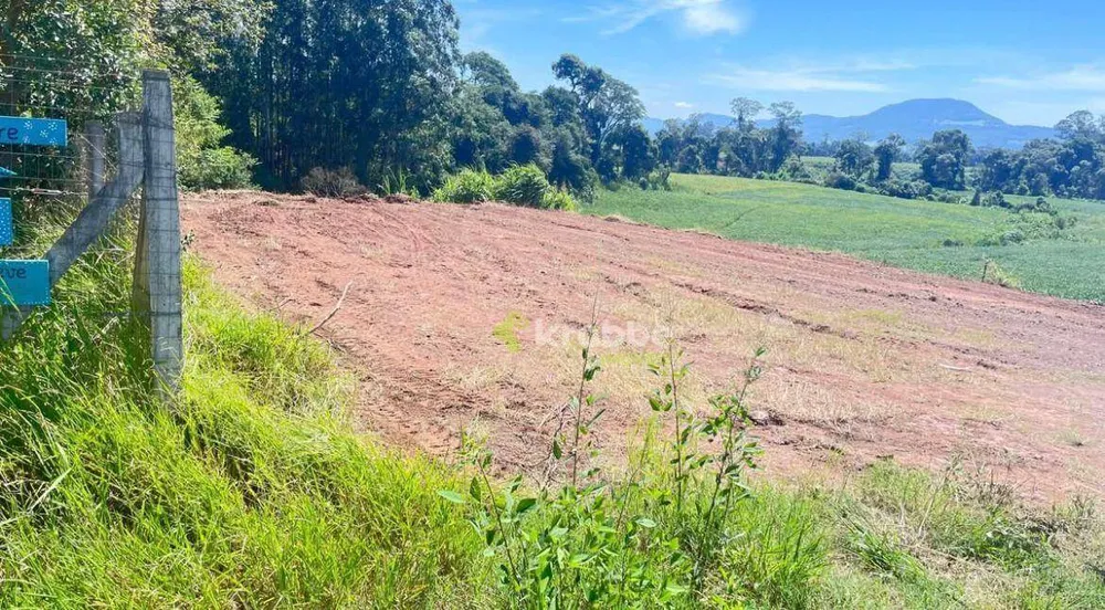 Terreno, 3247 m² - Foto 6
