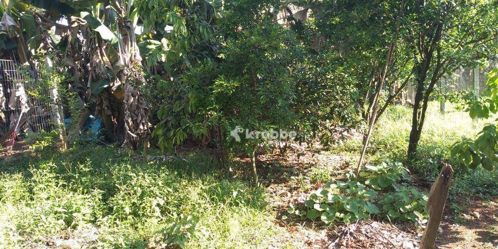 Casa, 2 quartos - Foto 8