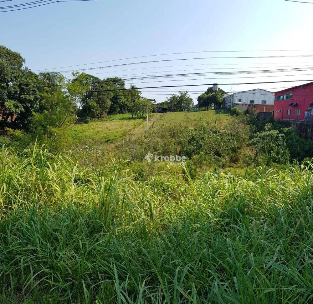Terreno, 1 hectares - Foto 3