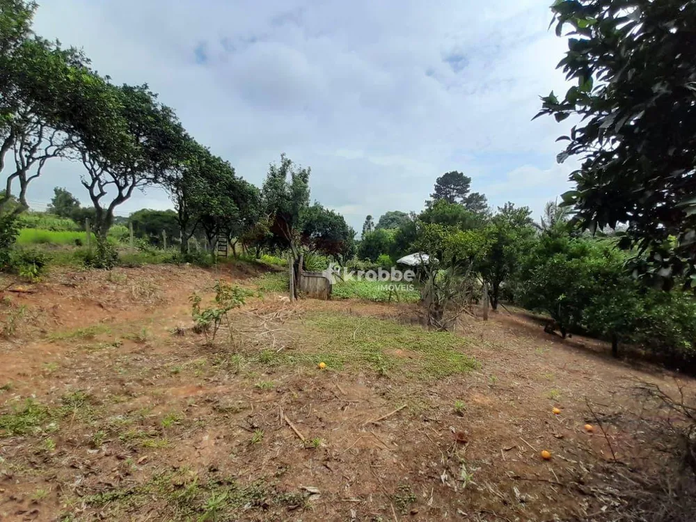 Chácara, 4 quartos, 2 hectares - Foto 1