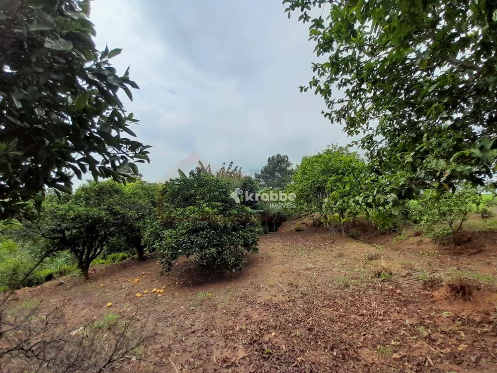Chácara, 4 quartos, 2 hectares - Foto 8