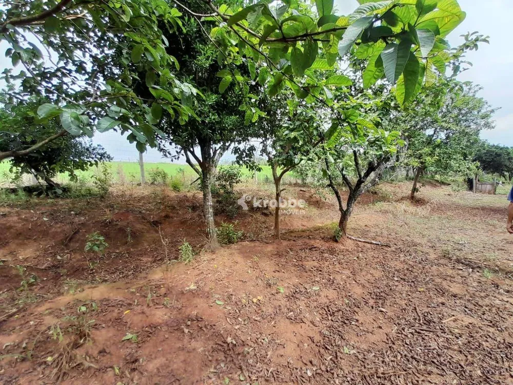Chácara, 4 quartos, 2 hectares - Foto 4
