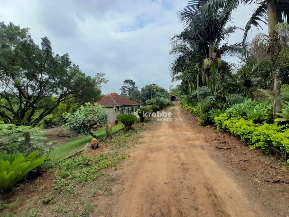 Chácara, 4 quartos, 2 hectares - Foto 4