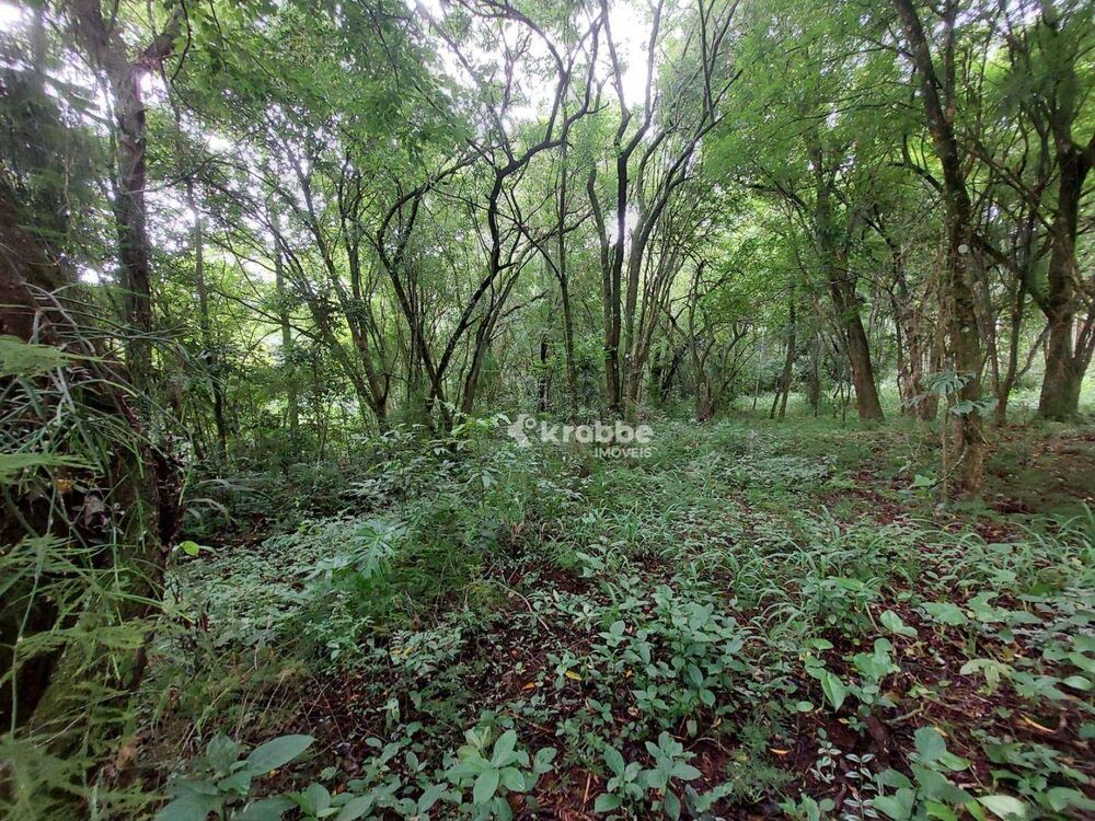 Terreno, 4420 m² - Foto 3