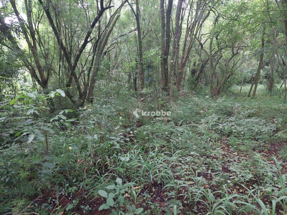 Terreno, 4420 m² - Foto 8