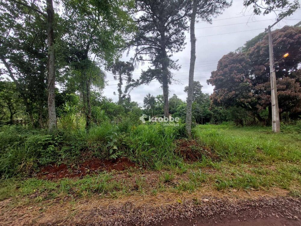 Terreno, 4420 m² - Foto 5