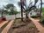 Casa, 4 quartos, 323 m² - Foto 3