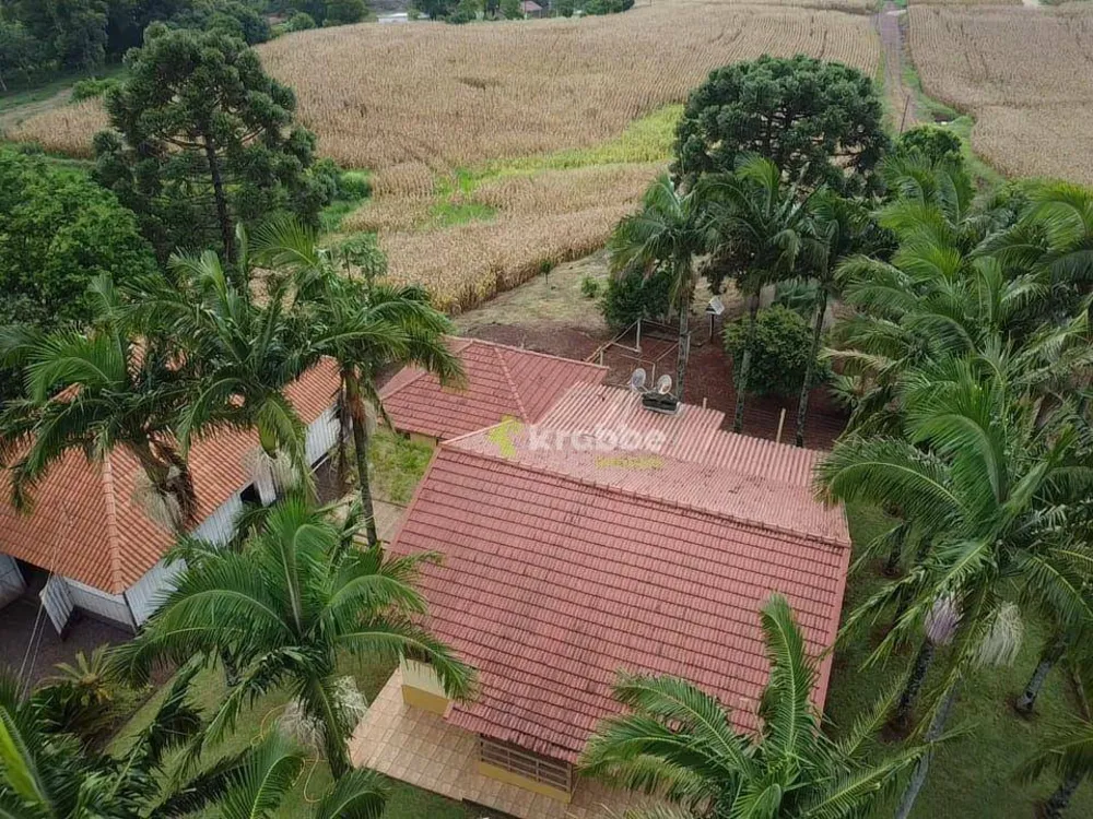 Chácara, 4 quartos, 7875 m² - Foto 9