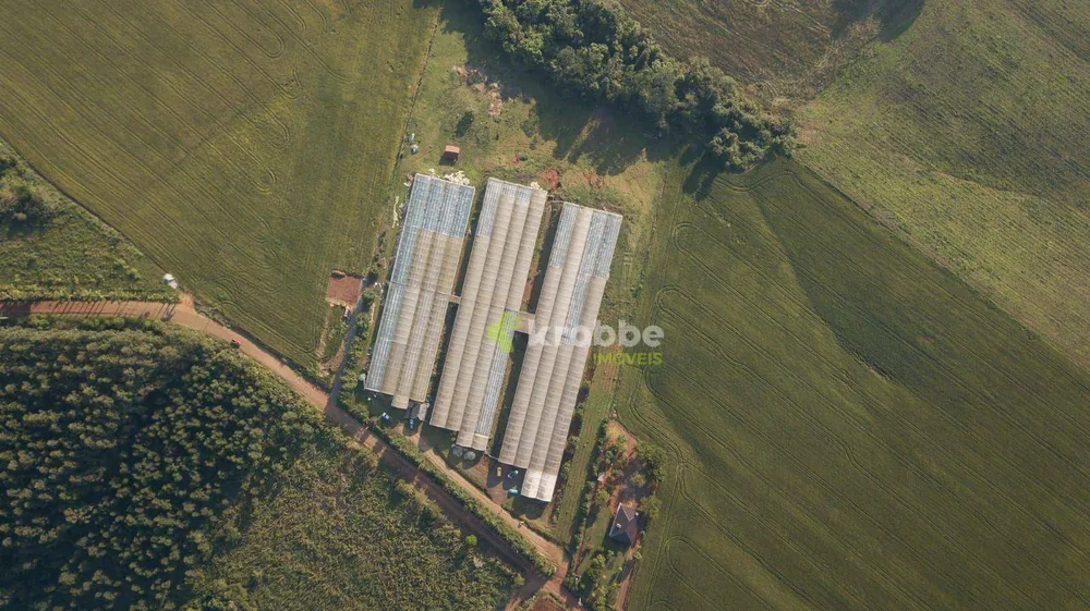 Terreno, 3 hectares - Foto 2