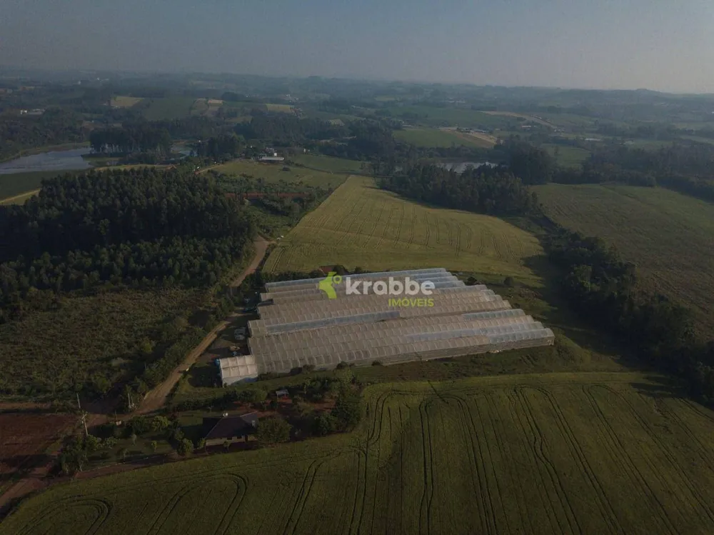 Terreno, 3 hectares - Foto 1