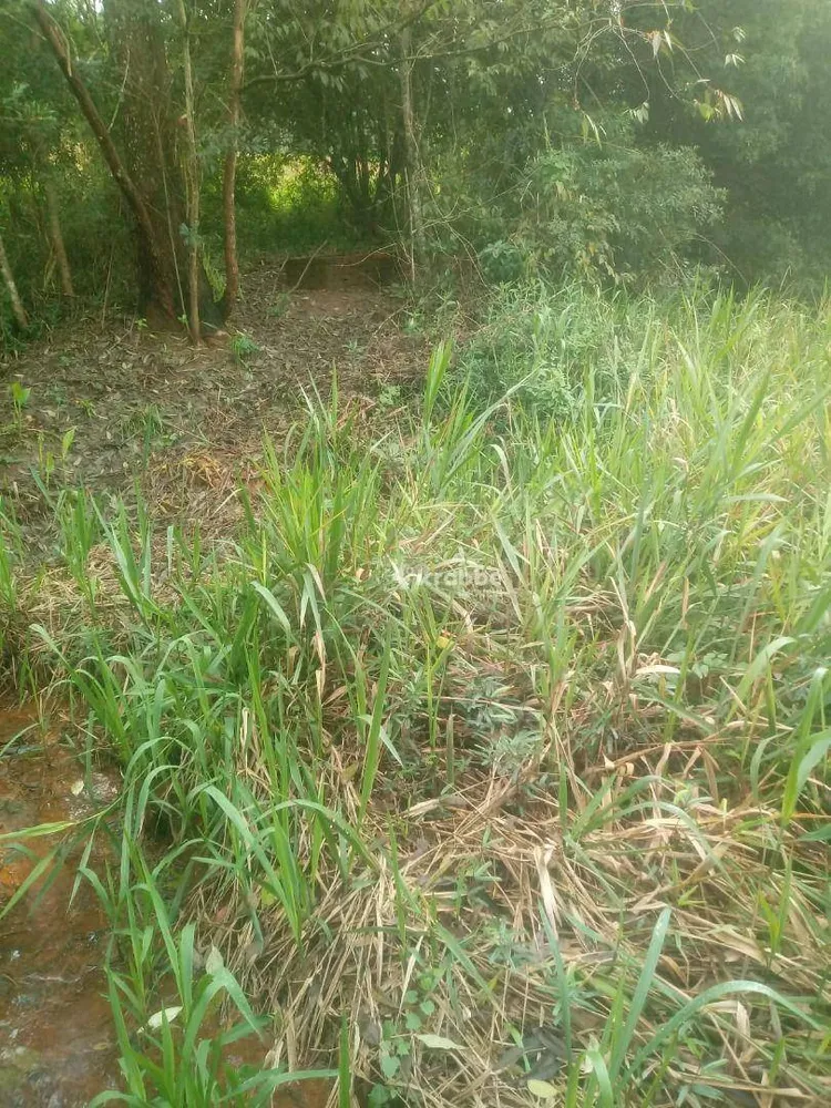 Terreno, 1550 m² - Foto 7