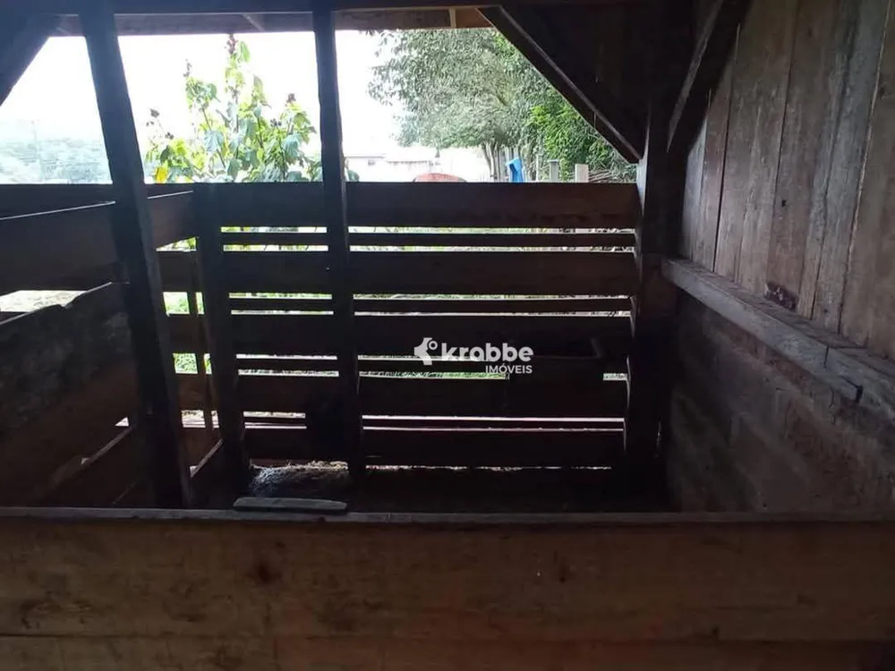 Chácara, 3 quartos, 3600 m² - Foto 10
