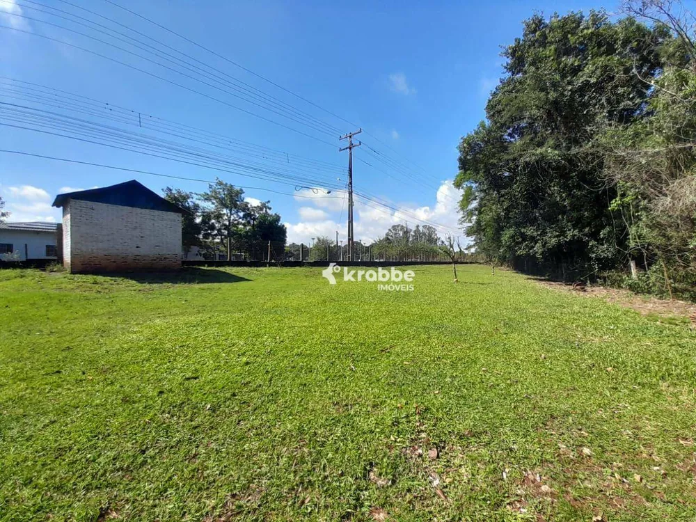 Chácara, 3 quartos, 9811 m² - Foto 10