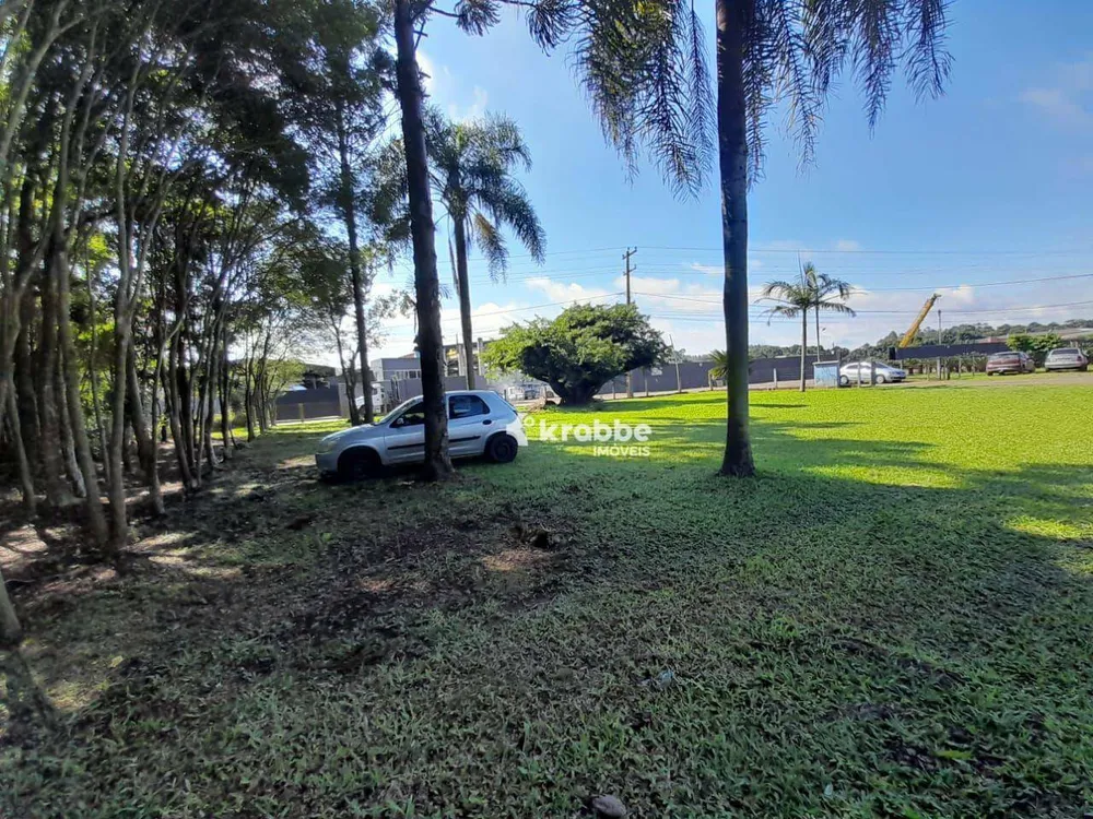 Chácara, 3 quartos, 9811 m² - Foto 12
