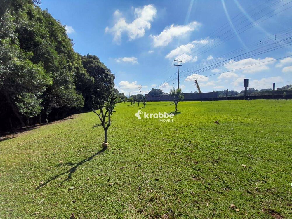 Chácara à venda com 3 quartos, 9811M2 - Foto 3