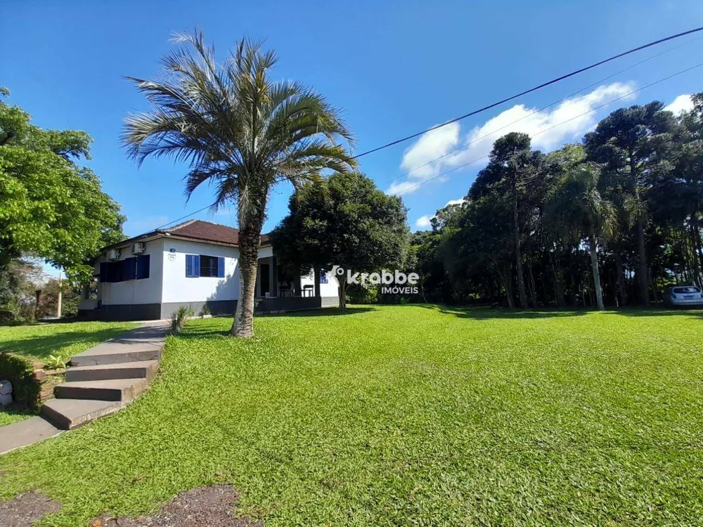 Chácara, 3 quartos, 9811 m² - Foto 5