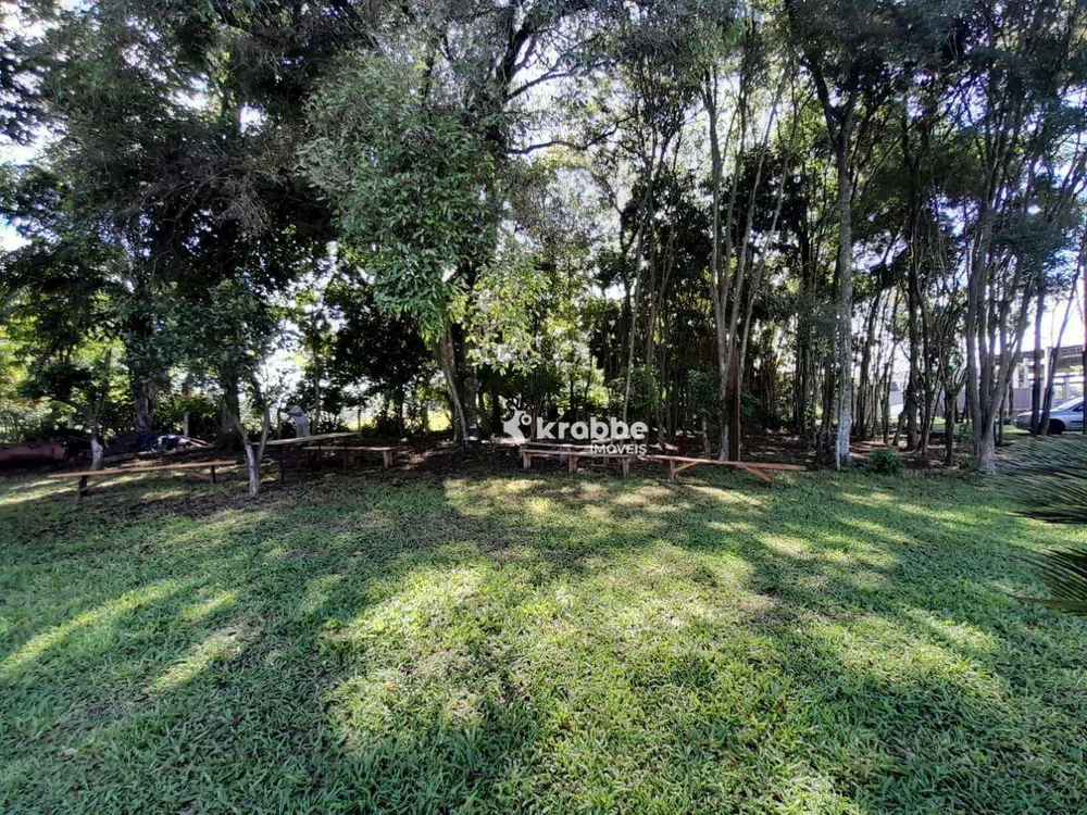 Chácara, 3 quartos, 9811 m² - Foto 9